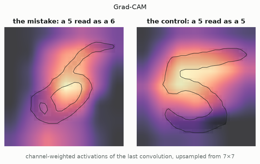 Two Grad-CAM maps over MNIST fives, each a smooth blob. On the misclassified digit the blob covers the closed loop.