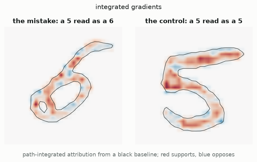 Two integrated-gradients maps over MNIST fives. Attribution is confined to the stroke; the background is uniformly blank.