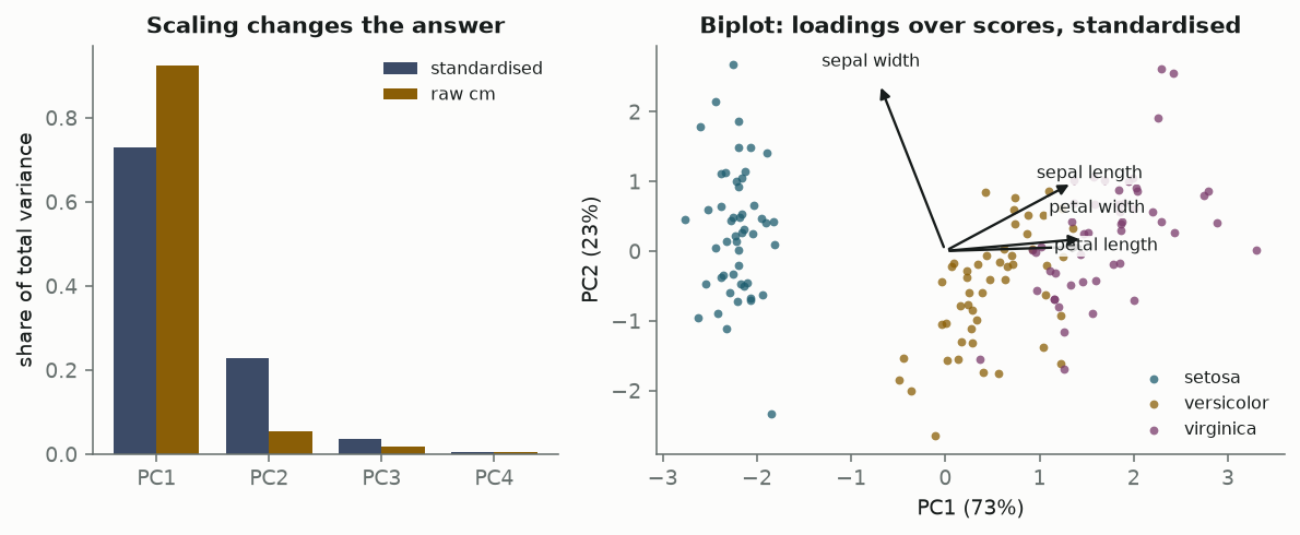Left, a bar chart comparing explained variance ratios for standardised and raw-centimetre PCA. Right, a biplot of the first two standardised components with the three species separated and four loading arrows.