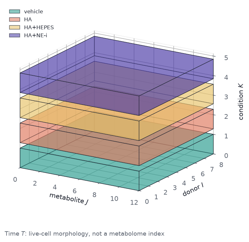 Isometric drawing of four coloured slabs stacked along a condition axis, with metabolite and donor axes labelled.