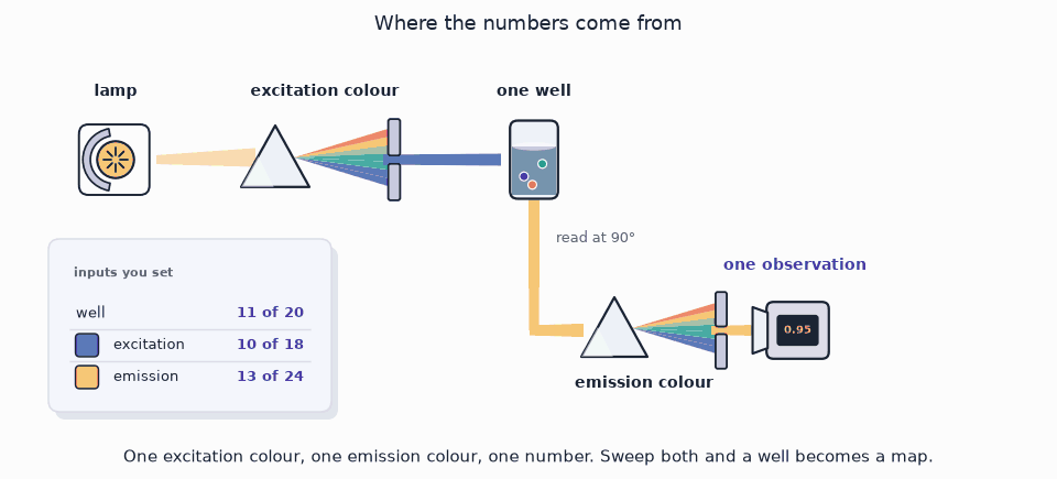 Animation: a drawn fluorimeter reads one intensity, then three dyes build a cube of emission-excitation maps, then CP recovers the dyes and flatten-then-SVD mixes them.