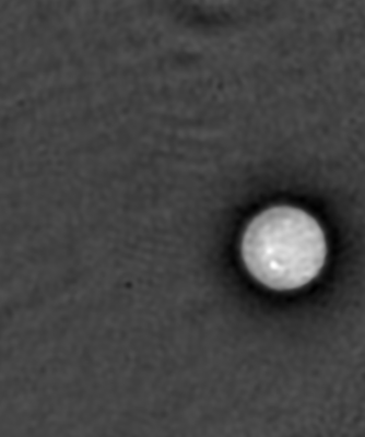 Imagen de microscopía en escala de grises de una célula de scikit-image, otro ejemplo de ejes de imagen ordenados por el hardware.