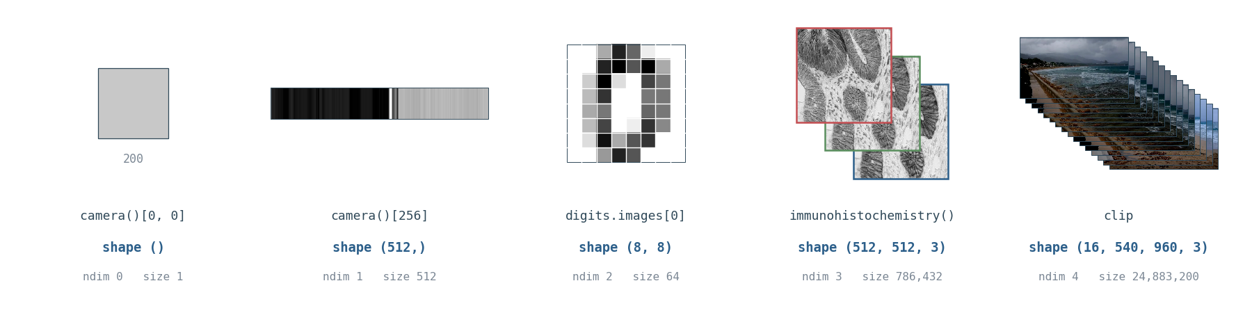 Five real arrays in a row, climbing from order 0 to order 4: a single grey square holding one pixel of the camera photograph, a long thin strip holding one row of it, one handwritten digit as an eight-by-eight grid of grey squares with white gutters ruled between them, a stained histology photograph shown as three separated colour planes, and sixteen frames of a storm clip stacked in a pile. Each is labelled with its shape, ndim and size.