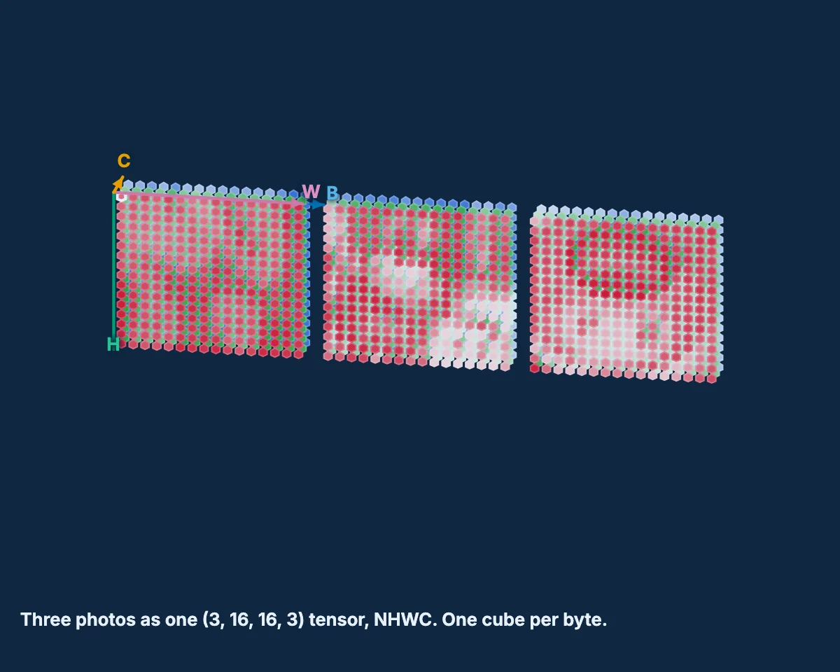 Open the widget: three photos as a 4-D tensor, transposed and then reshaped