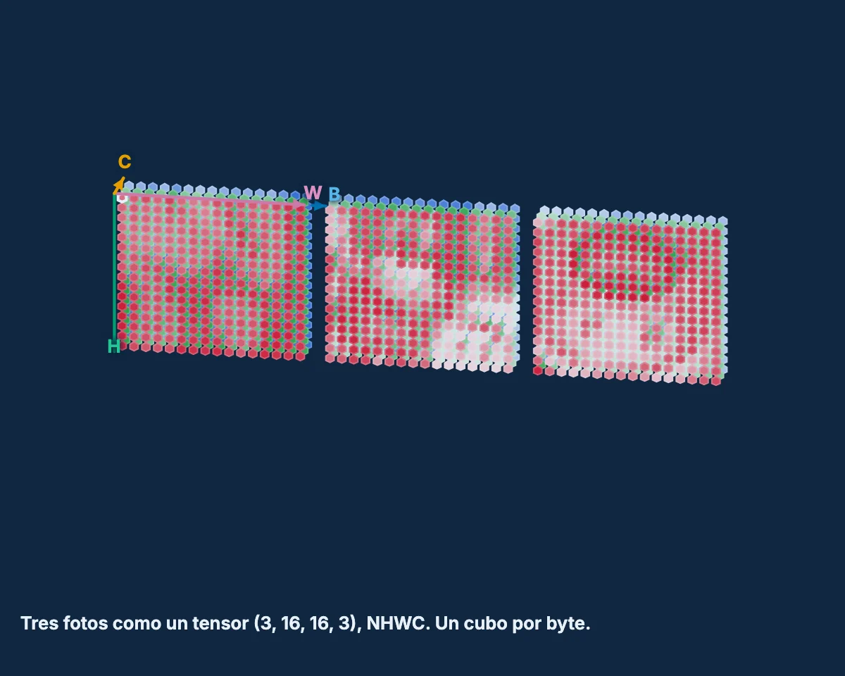 Abrir la herramienta: tres fotos como un tensor 4-D, transpuesto y luego con reshape
